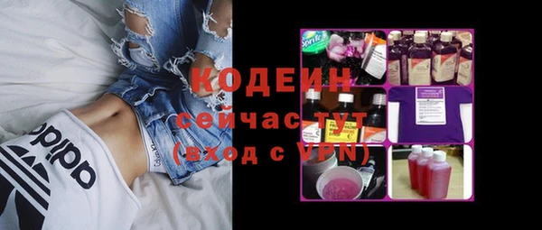 метадон Няндома