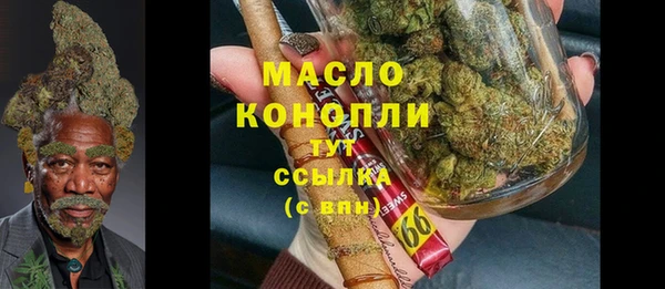 сатива Нязепетровск