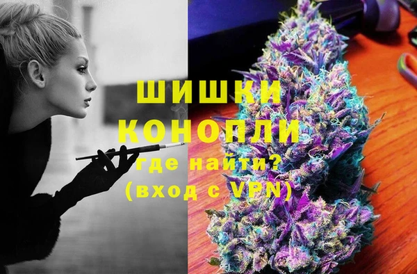 сатива Нязепетровск