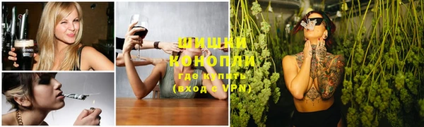 метадон Няндома