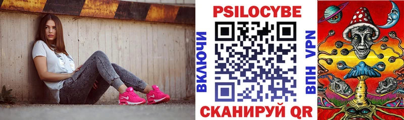 Купить закладки  Кодинск  Галлюциногенные грибы Psilocybe 